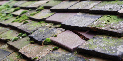 Eaton Bray roof repair costs